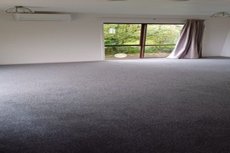 Photo of property in 108a Mount Sea Road, Thames, 3500