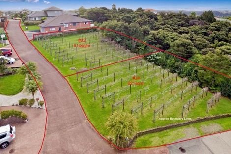 Photo of property in 22 Lorikeet Place, Unsworth Heights, Auckland, 0632
