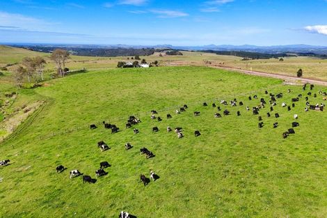 Photo of property in 540 Mangakaretu Road, Okaihau, 0295