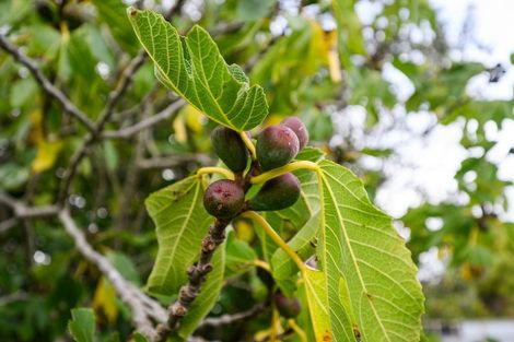 Photo of property in 10a Rira Street, Marton, 4710