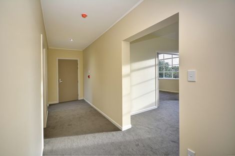 Photo of property in 8 Every Street, Andersons Bay, Dunedin, 9013