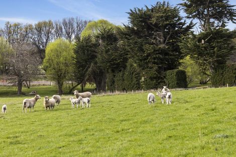 Photo of property in 309 Gladstone Road North, East Taieri, Mosgiel, 9092