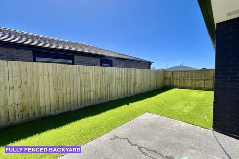 Photo of property in 15 John Gibb Street, Belfast, 8051
