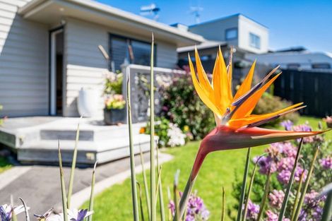 Photo of property in 40a Bayfair Drive, Mount Maunganui, 3116