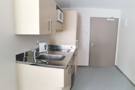 Photo of property in Dual Apartments, 108/142u Vivian Street, Te Aro, Wellington, 6011