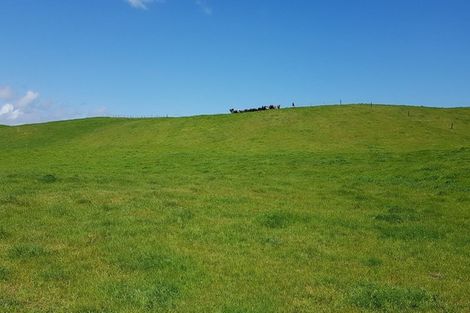 Photo of property in 110a Colville Road, Dargaville, 0371