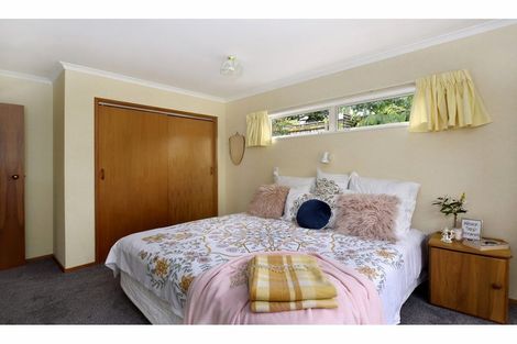 Photo of property in 3 Lorimer Lane, Richmond, 7020