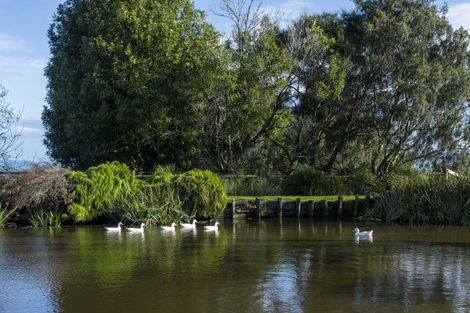 Photo of property in 1105a Back Ormond Road, Waihirere, Gisborne, 4071