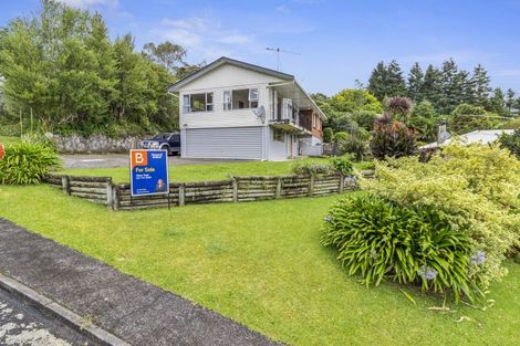 Photo of property in 10 Ellison Avenue, Te Kuiti, 3910