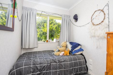 Photo of property in 38 Gradara Avenue, Otorohanga, 3900