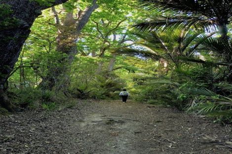 Photo of property in 27 Mceldowney Road, Titirangi, Auckland, 0604