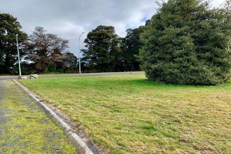 Photo of property in 1 Snowberry Lane, Ohakune, 4625