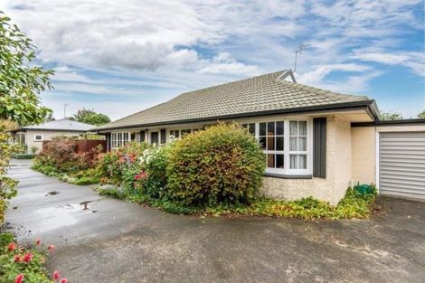Photo of property in 29a Rata Street, Maeroa, Hamilton, 3200