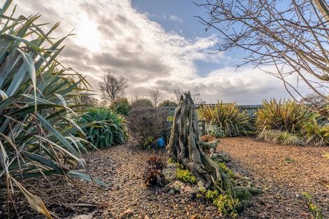 Photo of property in 28 Appleby Street, Hampden, 9410