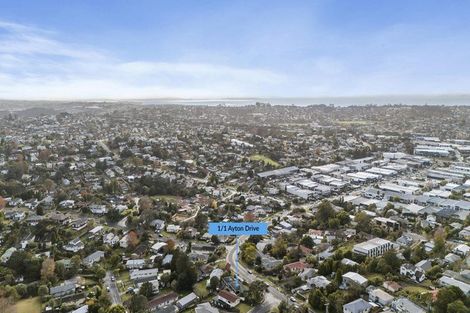 Photo of property in 1/6 Ellice Road, Totara Vale, Auckland, 0629