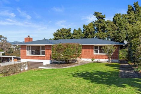 Photo of property in 61 Twentysecond Avenue, Gate Pa, Tauranga, 3112