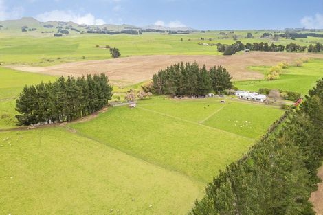 Photo of property in 331 Ormondville Road, Takapau, 4287