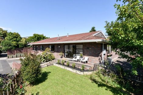 Photo of property in 60 Hazelwood Avenue, Dinsdale, Hamilton, 3204