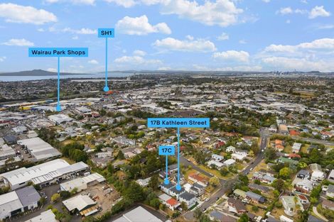 Photo of property in 17b Kathleen Street, Totara Vale, Auckland, 0627