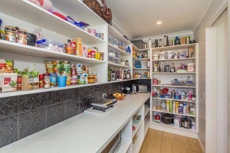 Photo of property in 441 Tararua Road, Levin, 5571