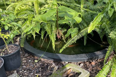 Photo of property in 88 Canongate Street, Birkdale, Auckland, 0626