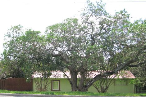 Photo of property in 1135 Papamoa Beach Road, Papamoa Beach, Papamoa, 3118
