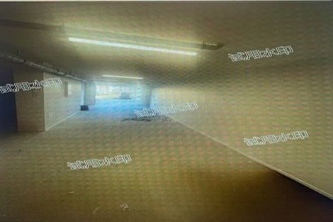 Photo of property in 3 Lemon Tree Lane, Flat Bush, Auckland, 2019