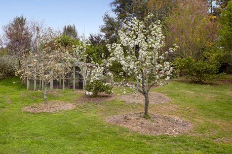 Photo of property in 69 Gillespie Place, Acacia Bay, Taupo, 3385