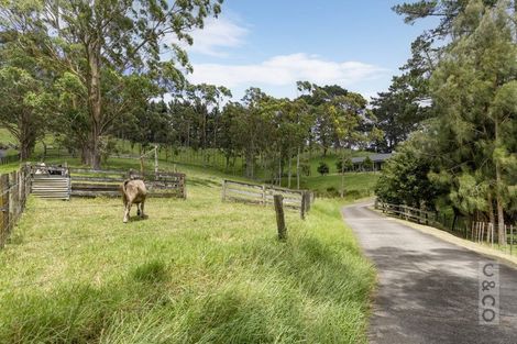 Photo of property in 589 Inland Road, Helensville, 0875