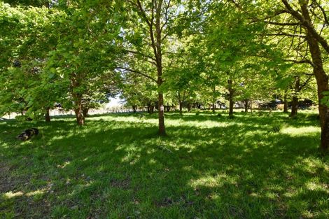 Photo of property in 142 Norfolk Road, Waingawa, Carterton, 5791