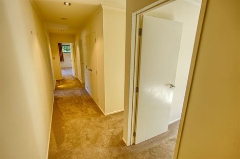 Photo of property in 15 Sanctuary Place, Kumara Junction, Hokitika, 7882