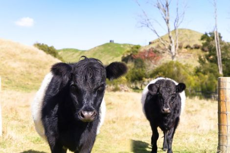 Photo of property in 31 Otutira Drive, Marotiri, Taupo, 3377
