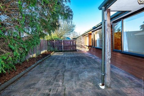Photo of property in 61 Torrens Road, Hillmorton, Christchurch, 8024