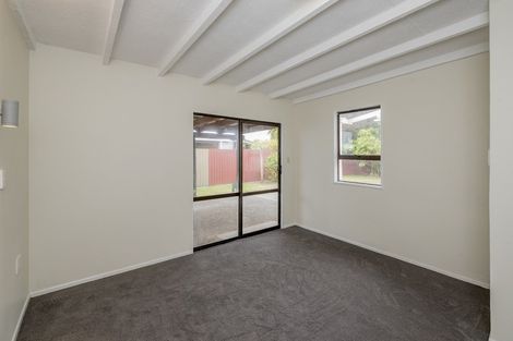 Photo of property in 191 Tiro Tiro Road, Levin, 5510