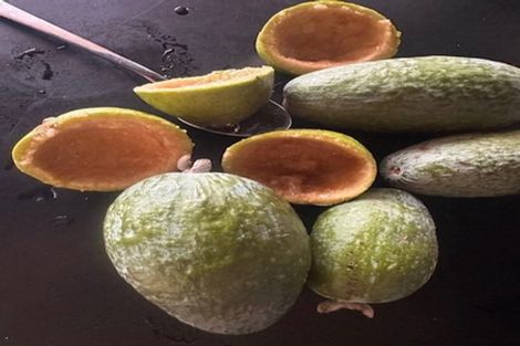 Photo of property in 25 Seamore Rise, Waipu, 0582