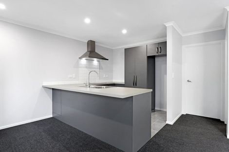 Photo of property in 97u9 Seddon Road, Frankton, Hamilton, 3204