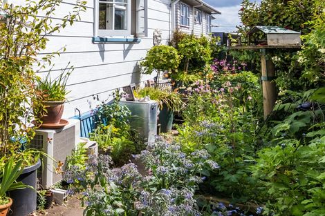 Photo of property in 44 Mere Road, Taupo, 3330