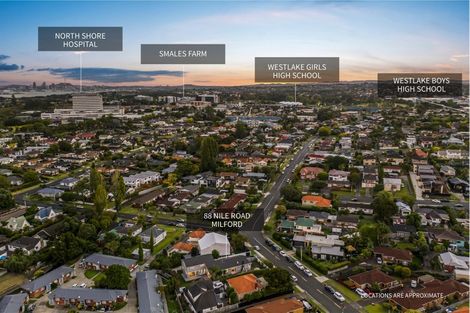 Photo of property in 88 Nile Road, Milford, Auckland, 0620