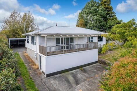 Photo of property in 3989 Ohaupo Road, Ohaupo, 3881