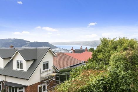 Photo of property in 19a Sheen Street, Roslyn, Dunedin, 9010