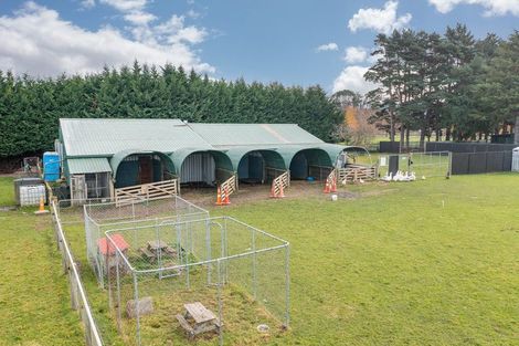 Photo of property in 22 Dukes Road North, Mosgiel, 9092