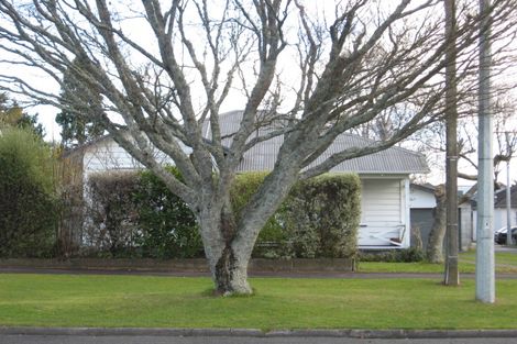 Photo of property in 53 Galloway Street, Hamilton East, Hamilton, 3216