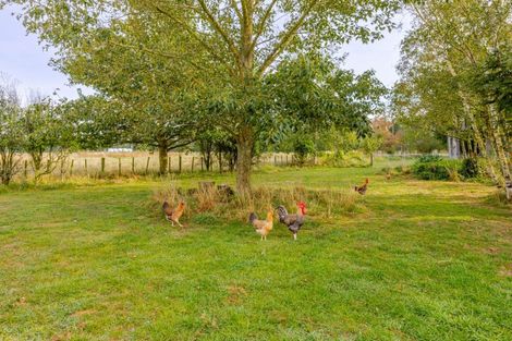 Photo of property in 97 Matheson Road, Tikokino, 4274
