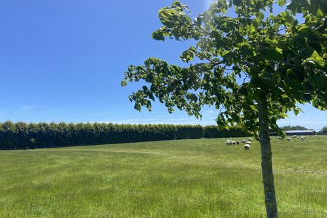 Photo of property in 38 Wills Road, West Plains, Invercargill, 9874