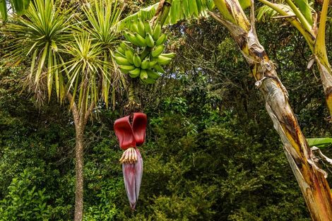 Photo of property in 409 Puketotara Road, Waipapa, Kerikeri, 0295