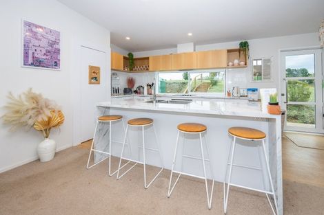 Photo of property in 925 Ngaroma Road, Wharepuhunga, Te Awamutu, 3874