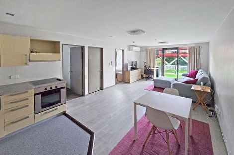 Photo of property in Dual Apartments, 208/142u Vivian Street, Te Aro, Wellington, 6011