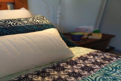 Photo of property in 20 Lindores Street, Addington, Christchurch, 8024