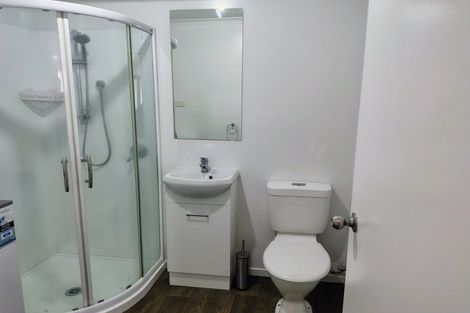 Photo of property in 11b Beaumont Street, Hamilton East, Hamilton, 3216