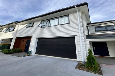 Photo of property in 18u8 Hunter Street, Hamilton Lake, Hamilton, 3204